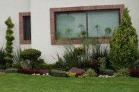 /album/fotogaleria-jardineria-y-paisajismo/images-4-jpg1/